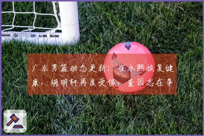 广东男篮动态更新：崔永熙恢复健康，胡明轩再度受伤，奎因志在争冠
