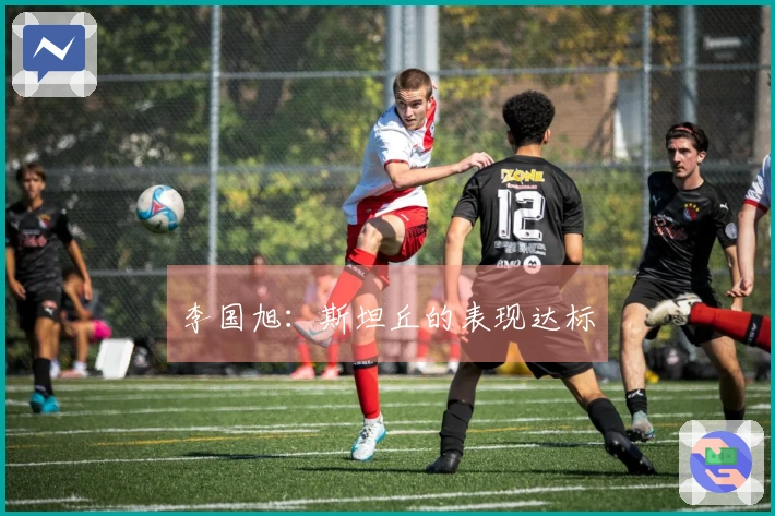 李国旭：斯坦丘的表现达标