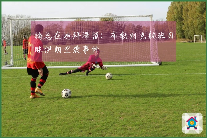 梅总在迪拜滞留：布勃利克航班目睹伊朗空袭事件