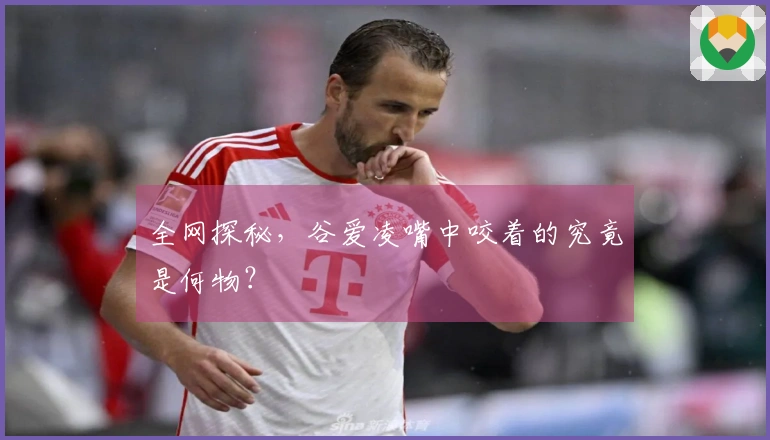 全网探秘，谷爱凌嘴中咬着的究竟是何物？
